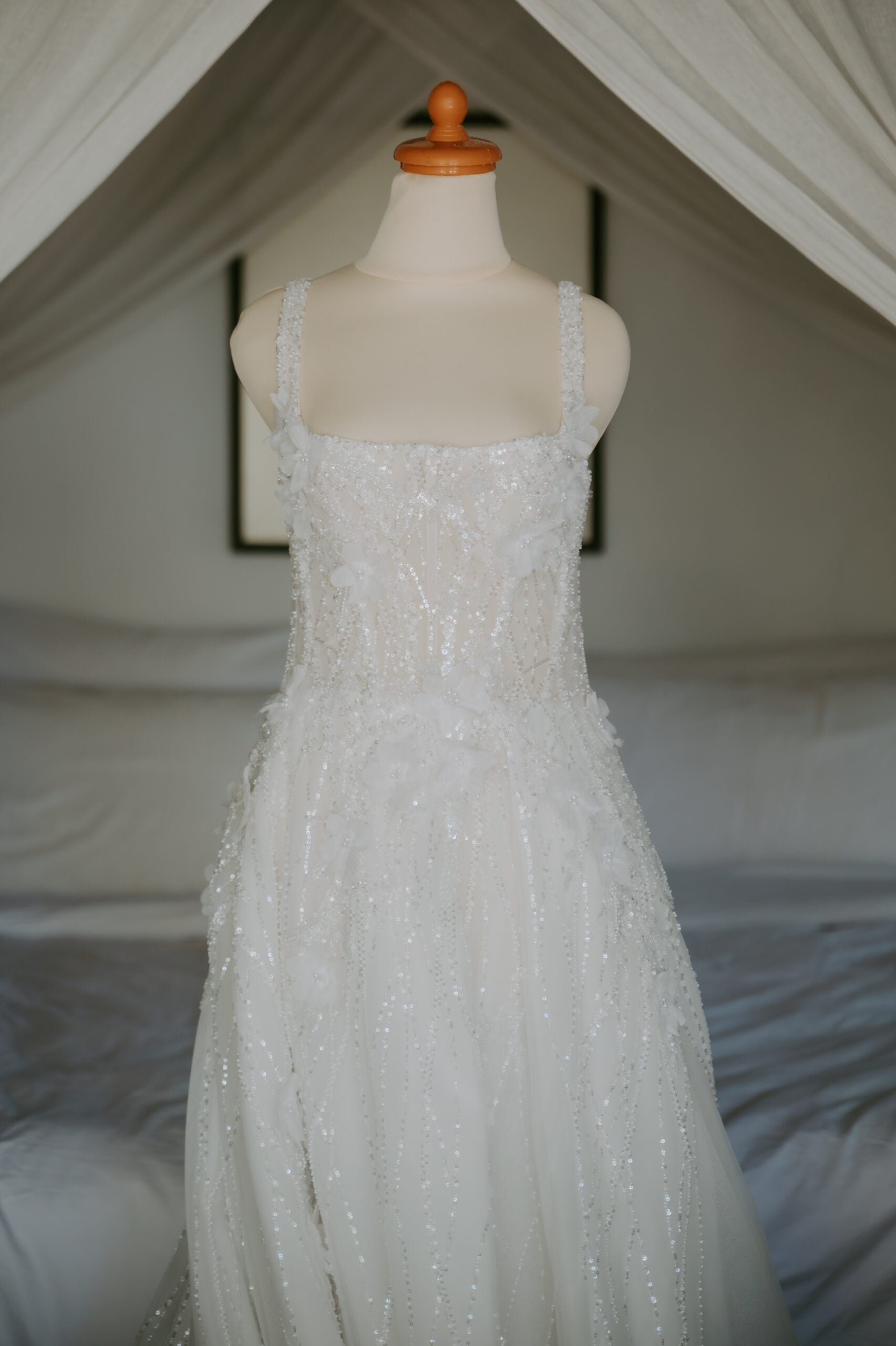 Pallas Couture Gown and Veil