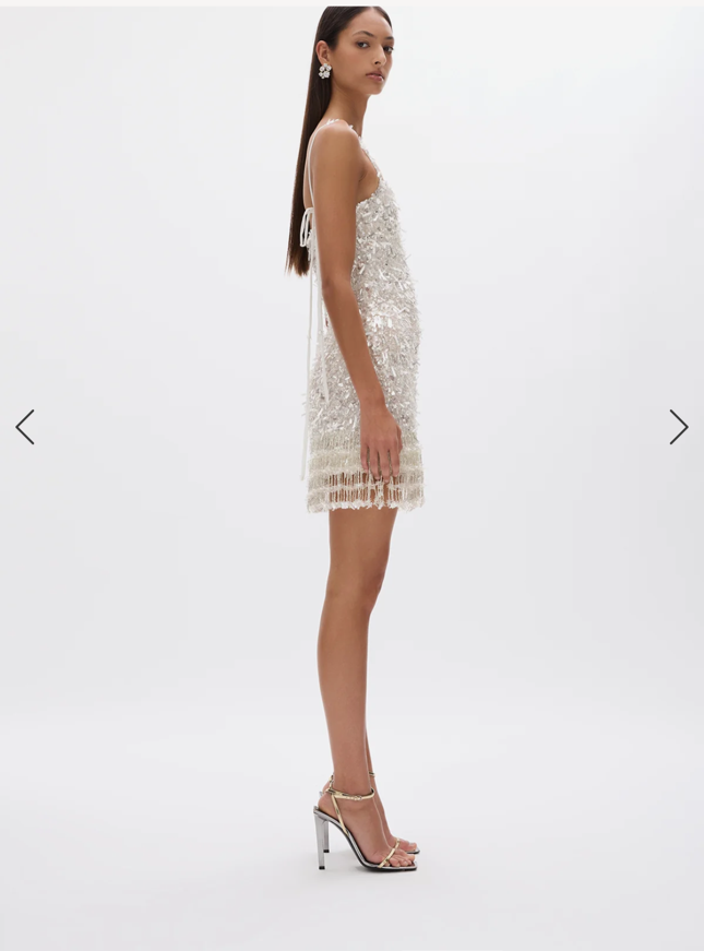 Rachel Gilbert Posie Mini Dress