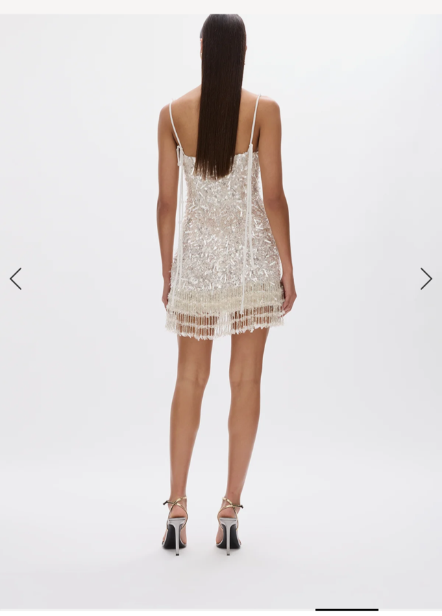 Rachel Gilbert Posie Mini Dress