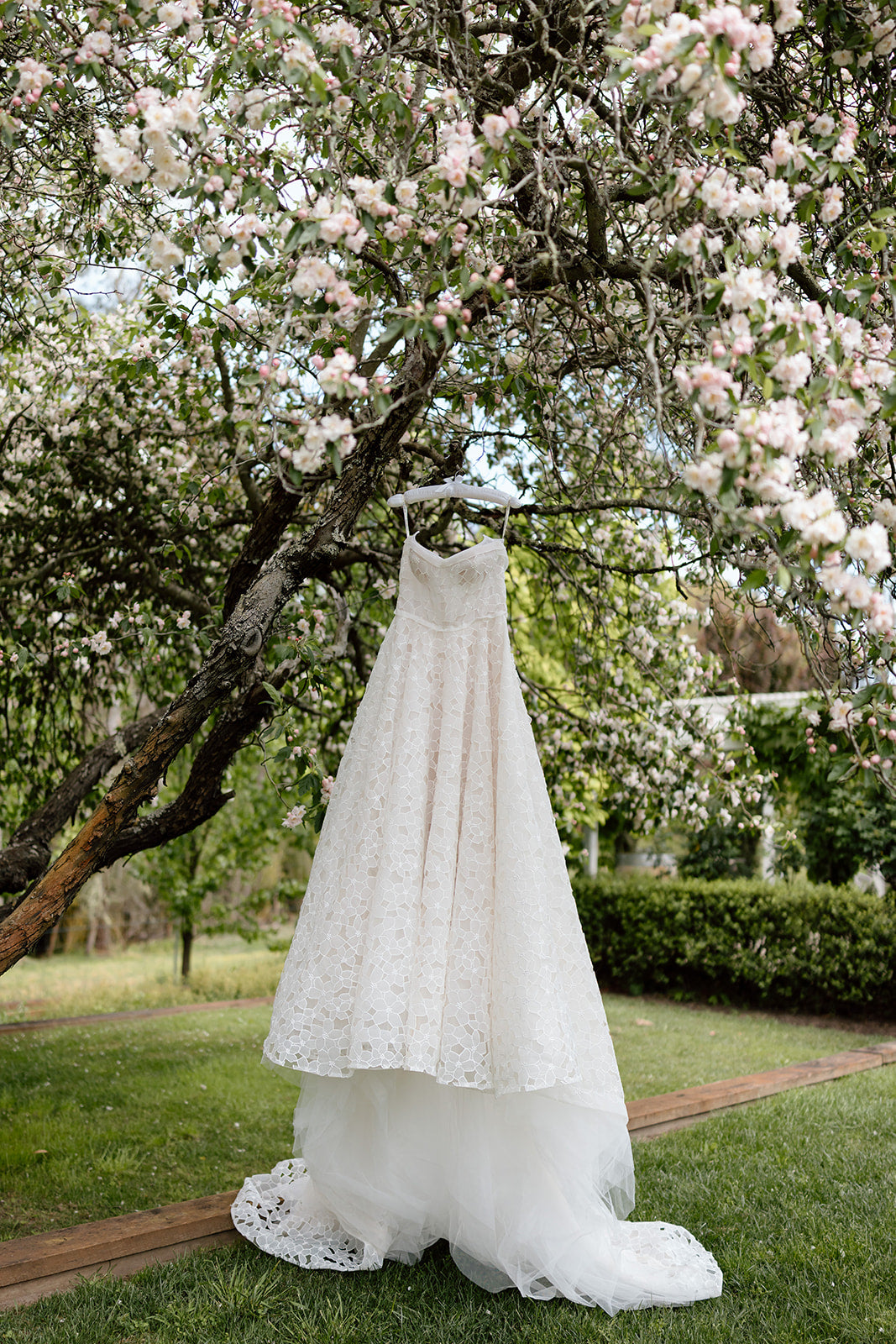 Liz Martinez Joelle gown