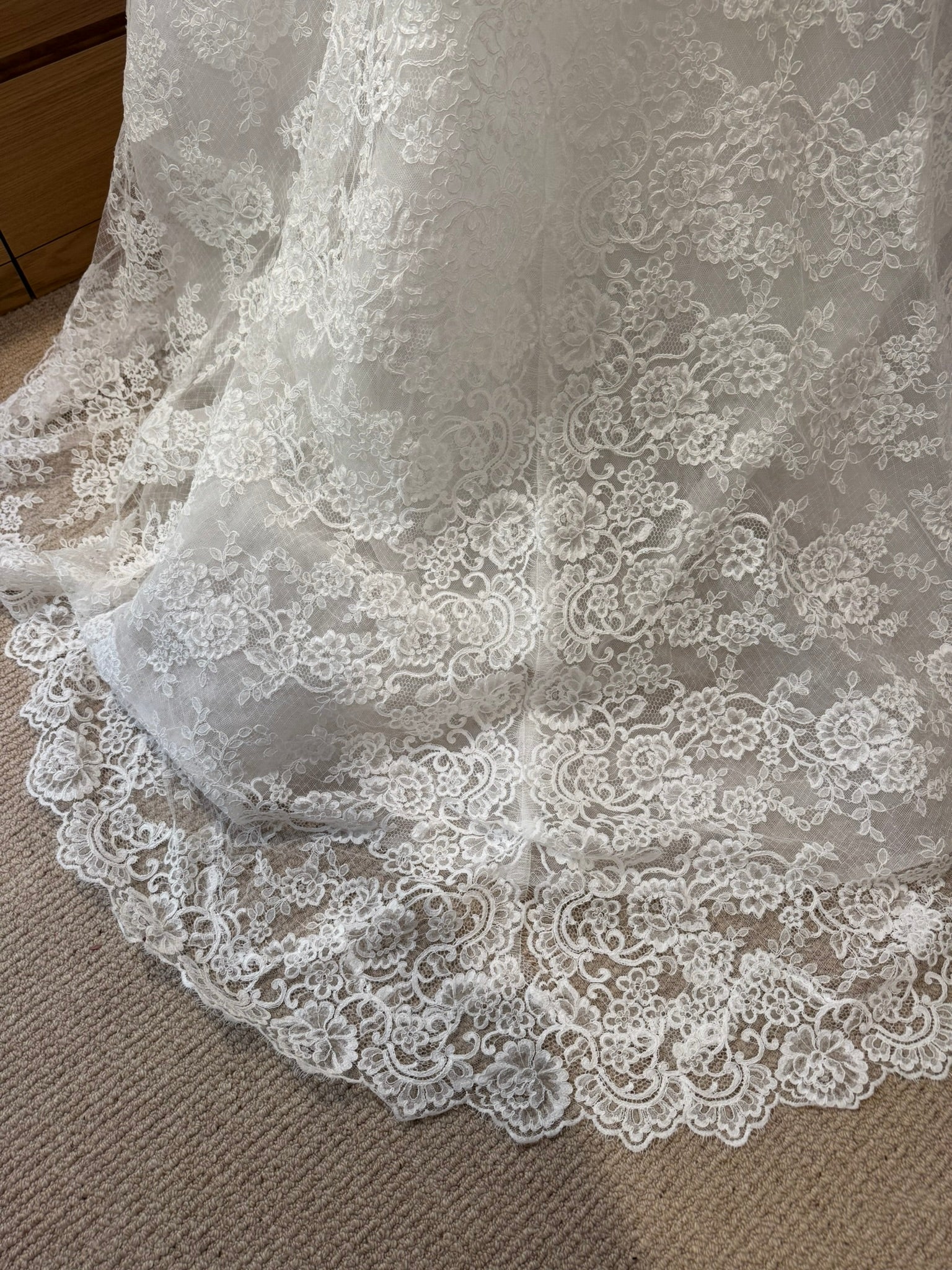 Monique Lhuillier Fleur de Lis Gown Size 4