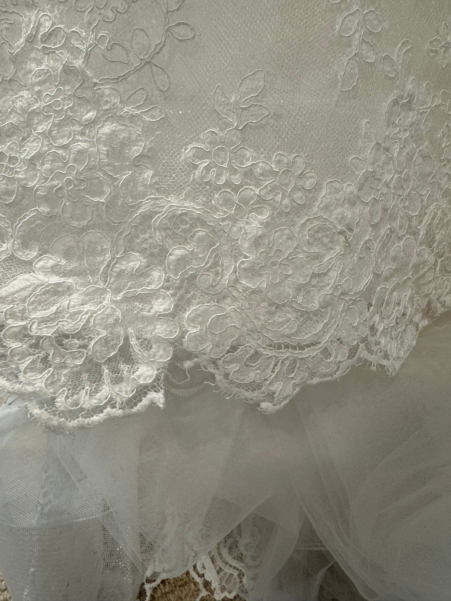 Monique Lhuillier Fleur de Lis Gown Size 4