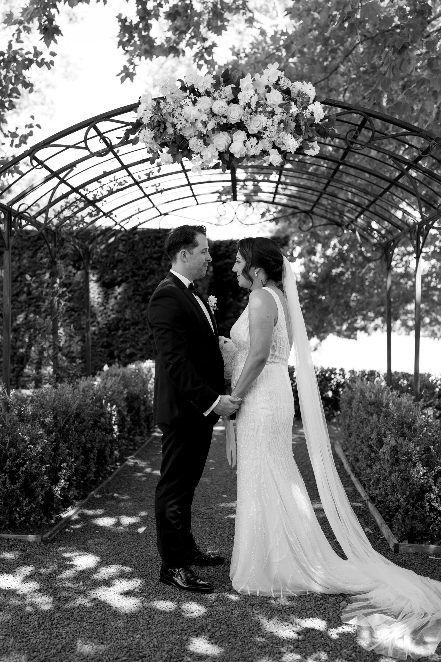 Willow and Winter