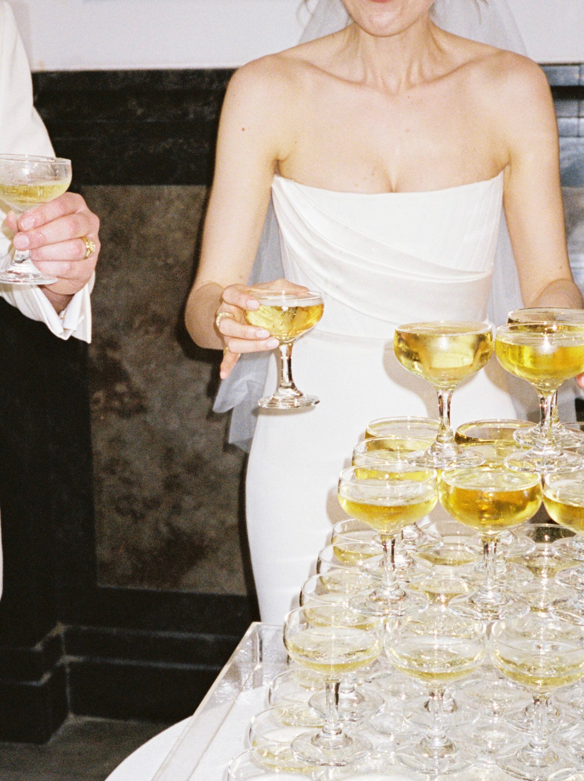 Alex Perry Elyse Gown