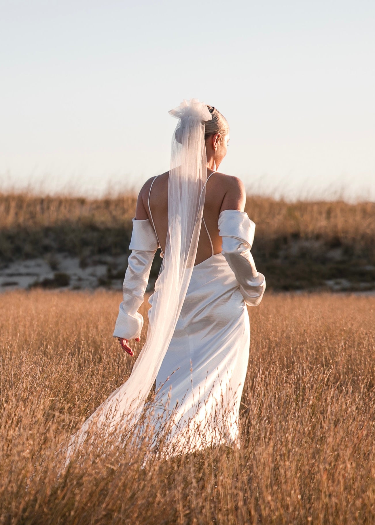 NEWHITE Laine Dress and Val Sleeves