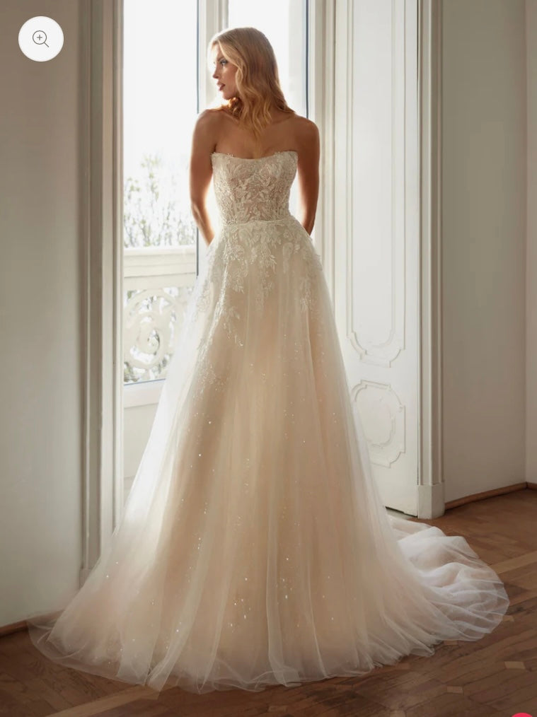 EBA Tulle Glitter Lace Dress
